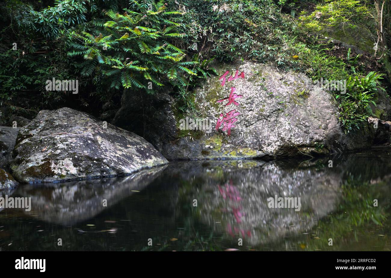 220412 -- WUZHISHAN, 12 aprile 2022 -- la foto scattata il 12 aprile 2022 mostra la sezione Wuzhishan del Parco Nazionale della Foresta pluviale tropicale di Hainan a Wuzhishan, nella provincia di Hainan nella Cina meridionale. Il Parco Nazionale della Foresta pluviale tropicale di Hainan, uno dei primi parchi nazionali designati in Cina, si estende su nove città e contee della Provincia di Hainan della Cina meridionale, coprendo un'area totale di oltre 4.000 km quadrati Ospita le foreste pluviali tropicali più concentrate e ben conservate della Cina. CHINA-HAINAN-WUZHISHAN-SCENERY CN YangxGuanyu PUBLICATIONxNOTxINxCHN Foto Stock