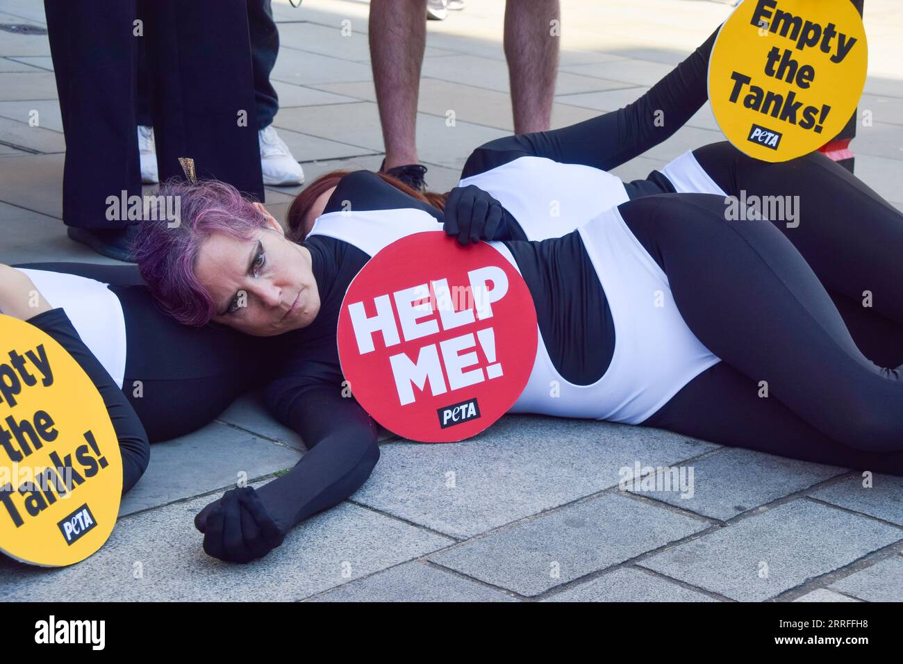 Londra, Regno Unito. 7 settembre 2023. Gli attivisti PETA che indossano costumi di orca e altri che tengono in mano cartelli "Jet2 Helldays" organizzano una protesta fuori dall'incontro annuale di Jet2 Holidays a Cheapside, invitando il fornitore di viaggi a far cadere i parchi marini che tengono i cetacei in carri armati per l'intrattenimento dai suoi pacchetti vacanze. Credito: Vuk Valcic/Alamy Live News Foto Stock