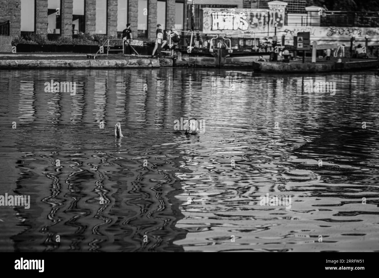 Un uomo rimane fresco nuotando nel canale Regents a Camden di Londra. Foto Stock