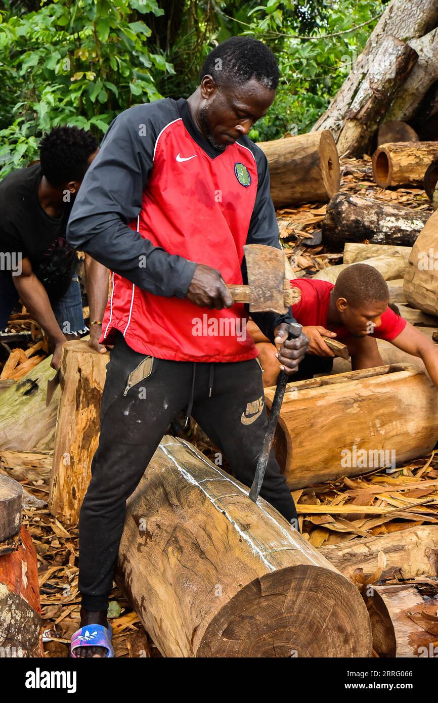 220501 -- YAOUNDE, 1 maggio 2022 -- Martin Mbezele Zambo lavora in un workshop tam-tam nella regione centrale, Camerun, 29 aprile 2022. PER ANDARE CON la funzione: I drum-maker del Camerun guadagnano sulla sua popolarità foto di /Xinhua CAMERUN-CENTER REGION-TAM-TAM MAKING Kepseu PUBLICATIONxNOTxINxCHN Foto Stock