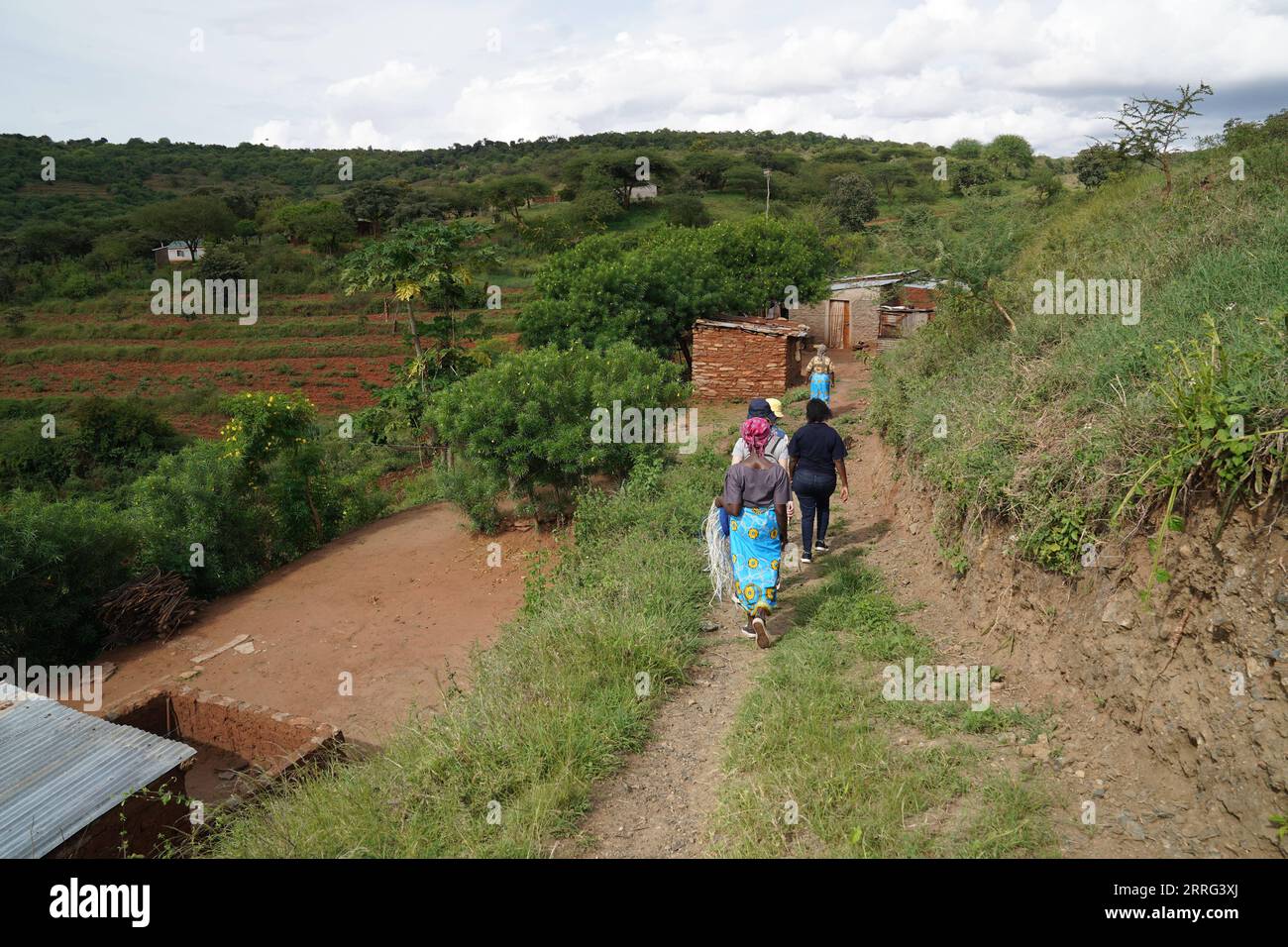 220506 -- MACHAKOS KENYA, 6 maggio 2022 -- le donne camminano al villaggio di Katangi nella contea di Machakos, Kenya, il 3 maggio 2022. PER ANDARE CON la caratteristica: Le donne rurali keniane ampliano i flussi di reddito attraverso la tessitura dei cesti KENYA-MACHAKOS-WOMEN-BASKET-WEAVING DongxJianghui PUBLICATIONxNOTxINxCHN Foto Stock