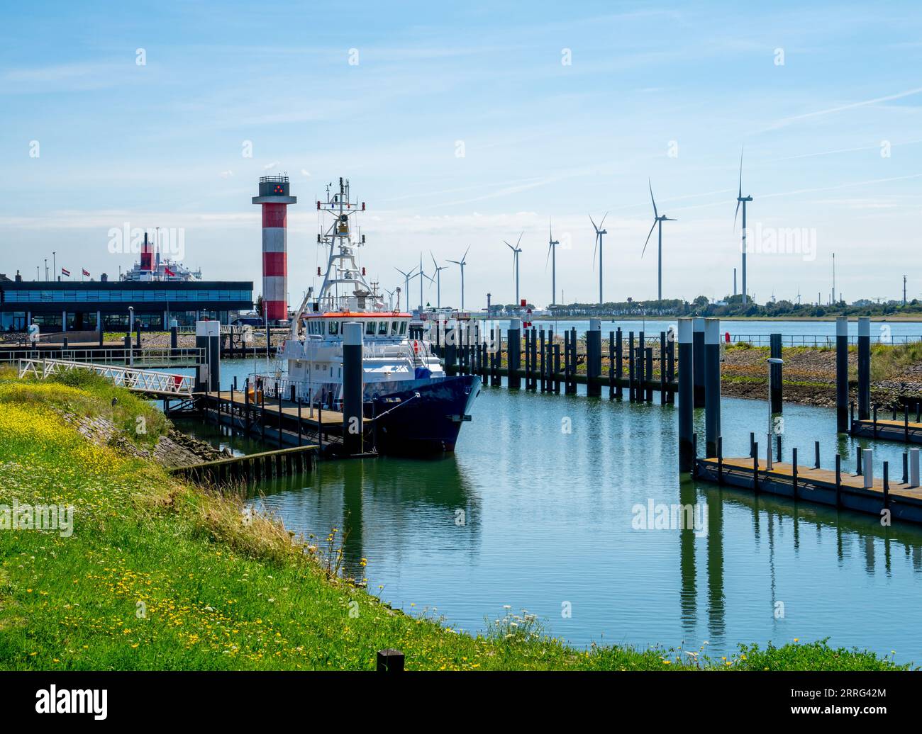 Nave doganale per il controllo delle navi che visitano il porto di Rotterdam, Paesi Bassi Foto Stock