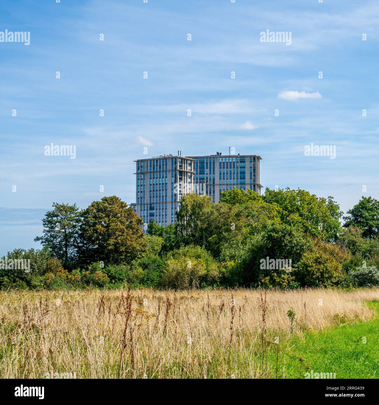 Edificio di appartamenti tra cespugli vicino a Rotterdam, Paesi Bassi Foto Stock