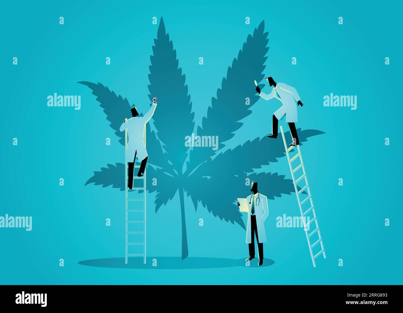 Illustrazione grafica vettoriale di un team di medici o scienziati che controllano le piante di canapa. Concetto di cannabis come medicina alternativa Illustrazione Vettoriale