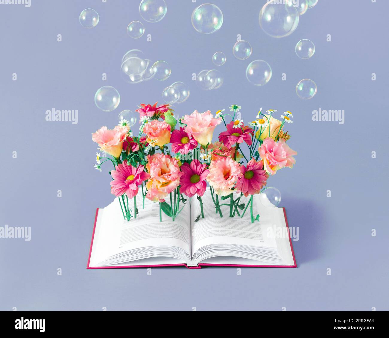 Libro con fiori. Vacanze estive o ritorno a scuola Foto Stock