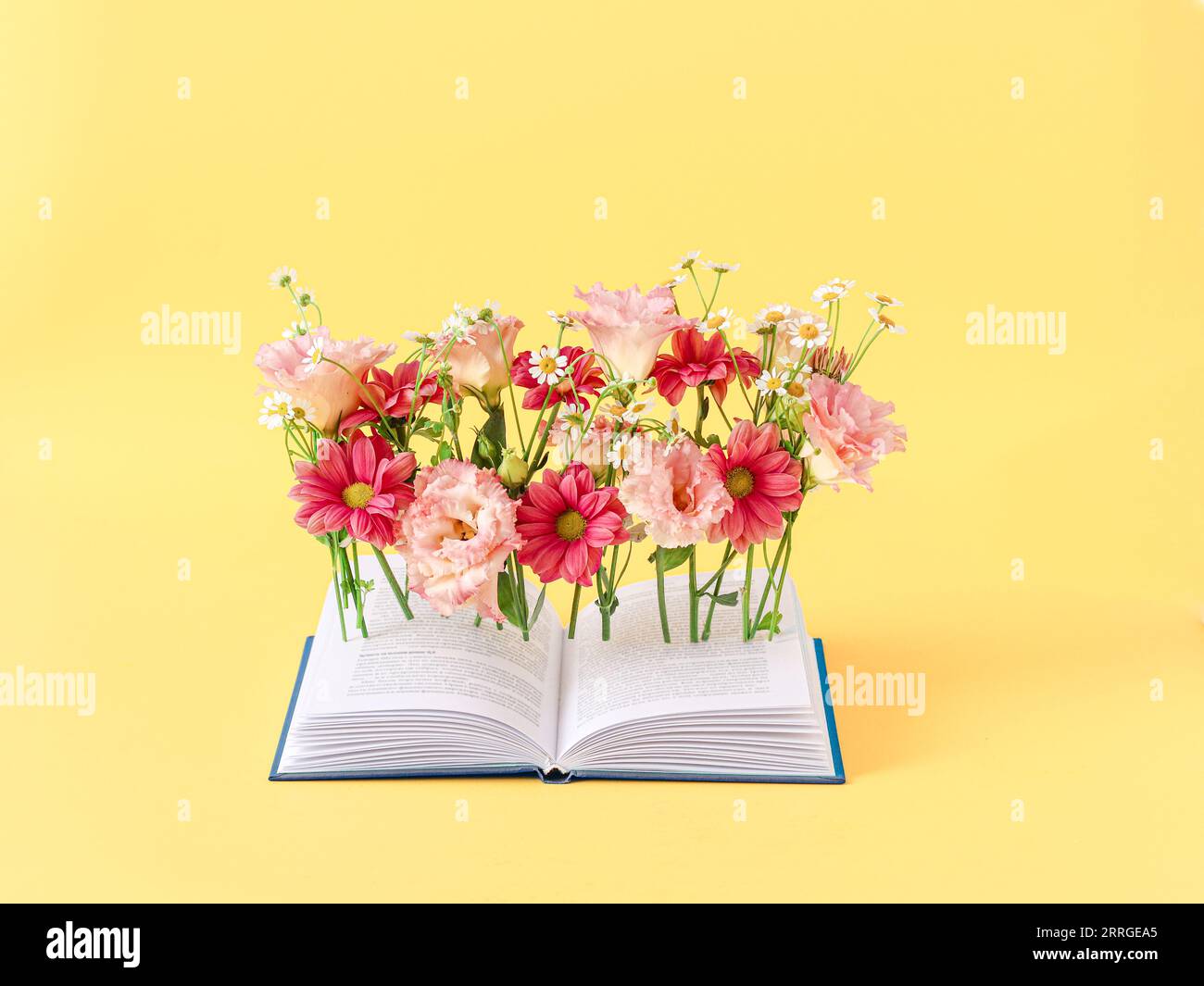 Libro con fiori . Vacanze estive o ritorno a scuola. Foto Stock