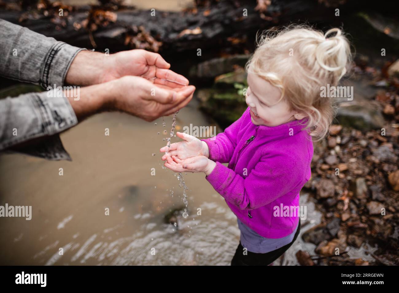 Le mani di papa' versano acqua da creek nell'estensivo della figlia Foto Stock