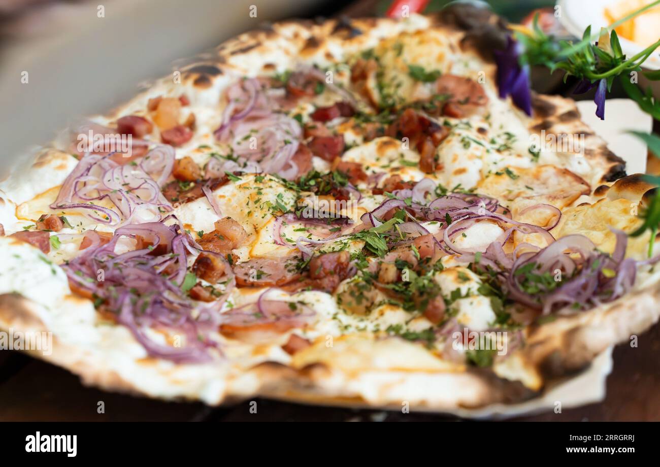 Podpłomyk, la forma più antica di pane, una piccola focaccia fatta con farina e acqua senza lievito, e cotta su carbone caldo, servita con formaggio, cipolla rossa, Foto Stock Podpłomyk, la forma più antica di pane, una piccola focaccia fatta con farina e acqua senza lievito, e cotta su carbone caldo, servita con formaggio, cipolla rossa, Foto Stock