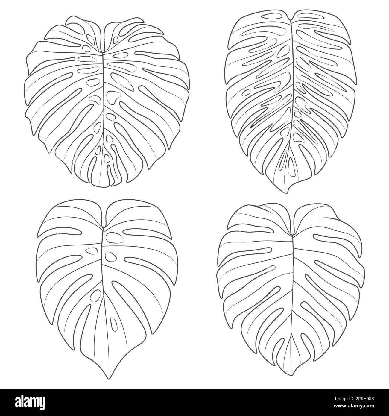 Set di illustrazioni in bianco e nero con foglie di piante superidratanti monstera. Oggetti vettoriali isolati su sfondo bianco. Illustrazione Vettoriale