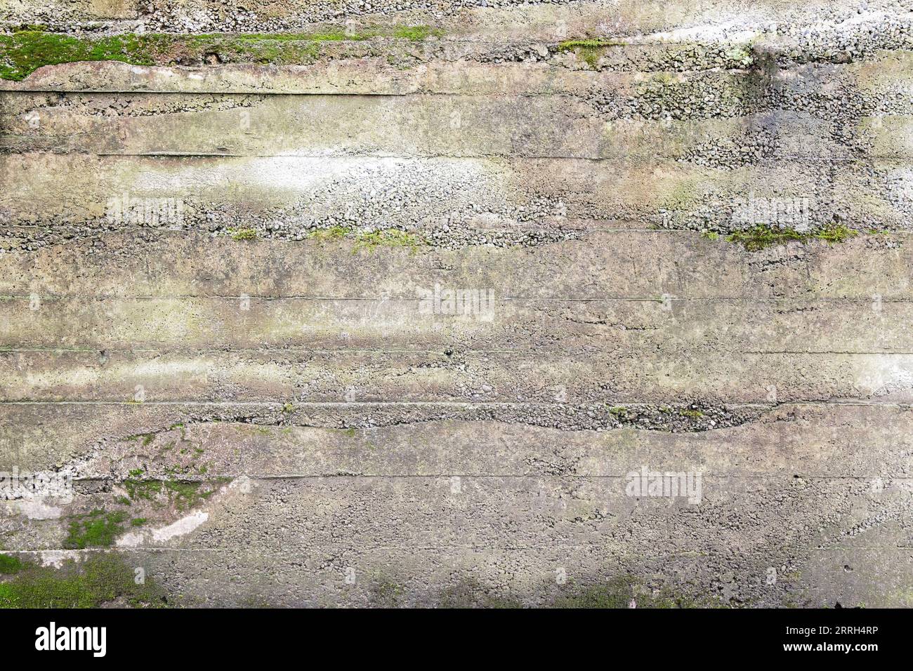 Vecchio muro di cemento con muschio e licheni che crescono. Texture di sfondo grunge astratta Foto Stock