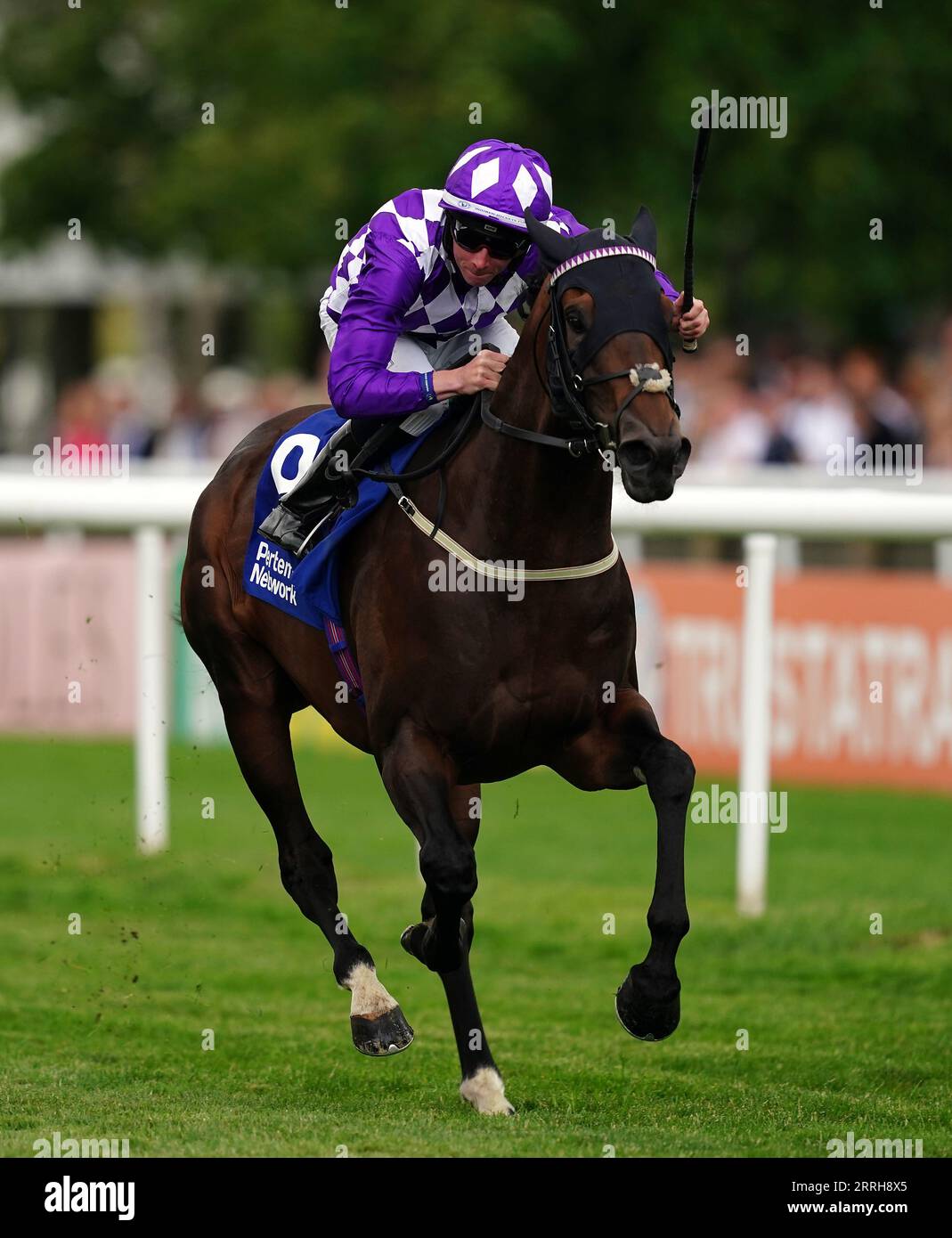 Foto del file datata 15-07-2023 di Shaquille guidata dal fantino Rossa Ryan. Secondo Shaquille, la preparazione del popolare colt non avrebbe potuto andare meglio prima della sua offerta per la terza vittoria consecutiva del gruppo uno nella Betfair Sprint Cup di Haydock. Data di emissione: Venerdì 8 settembre 2023. Foto Stock