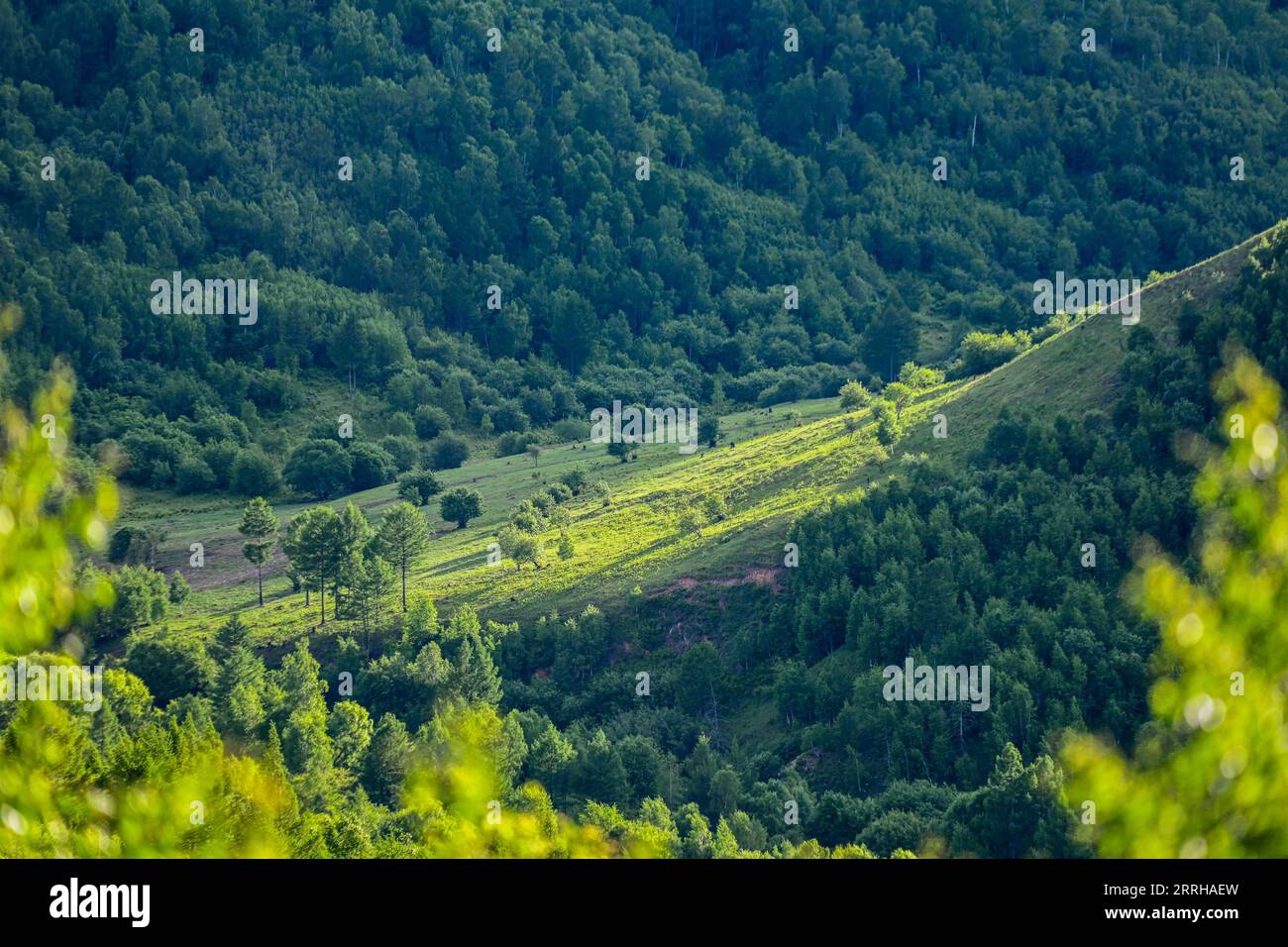 220623 -- HINGGAN LEAGUE, 23 giugno 2022 -- foto scattata il 23 giugno 2022 mostra lo scenario in Arxan della Hinggan League, nella regione autonoma della Mongolia interna della Cina settentrionale. CHINA-INNER MONGOLIA-HINGGAN LEAGUE-SCENARIO CN WANGXZECONG PUBLICATIONXNOTXINXCHN Foto Stock