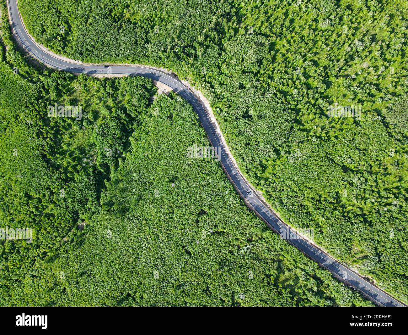 220623 -- HINGGAN LEAGUE, 23 giugno 2022 -- foto aerea scattata il 23 giugno 2022 mostra il paesaggio in Arxan della Hinggan League, nella regione autonoma della Mongolia interna della Cina settentrionale. CHINA-INNER MONGOLIA-HINGGAN LEAGUE-SCENARIO CN WANGXZECONG PUBLICATIONXNOTXINXCHN Foto Stock
