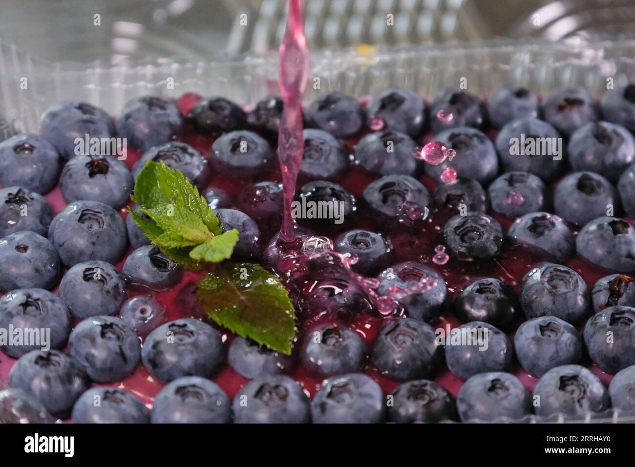 La gelatina di mirtilli viene versata in un flusso sottile di delizioso dessert sano con foglie di menta in un contenitore di plastica usa e getta consegna di dolci a casa tua. Cibo sano fatto in casa Foto Stock