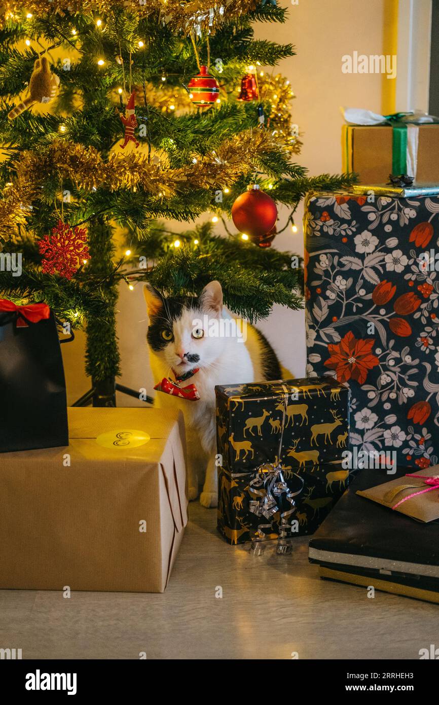 Tastiera di cartone per computer sulla scrivania dell'ufficio. Nelle  vicinanze si trovano note appiccicose con la frase 'Happy fool's day' Foto  stock - Alamy