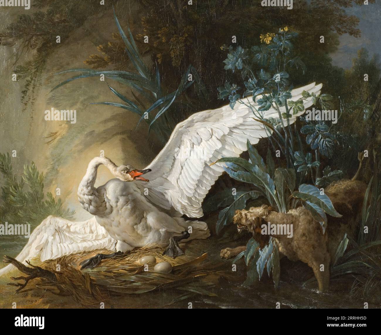 Water Spaniel Surprise a Swan on ITS Nest, 1740. Foto Stock