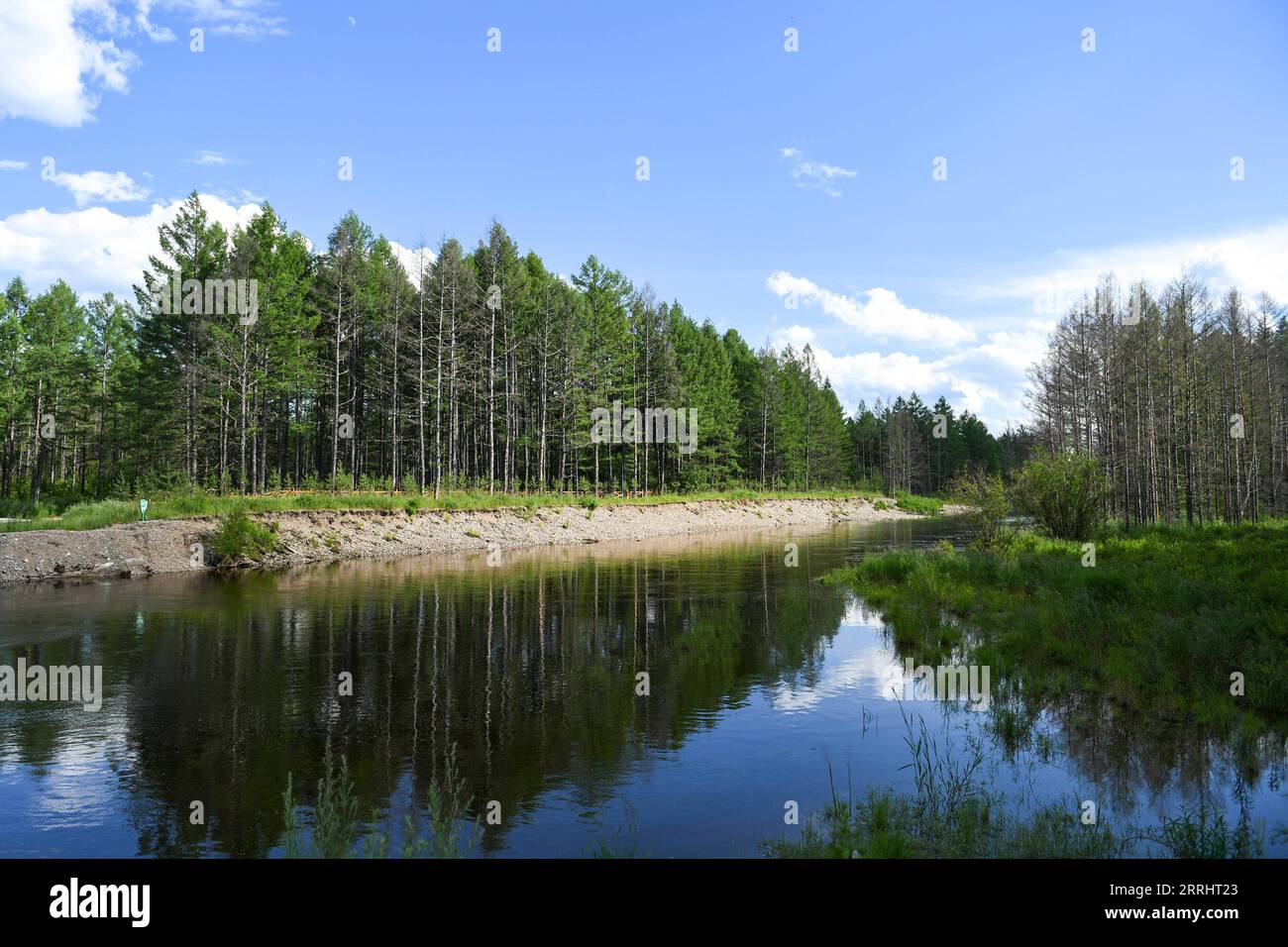 220707 -- HULUN BUIR, 7 luglio 2022 -- foto scattata il 7 luglio 2022 mostra lo scenario di un parco nazionale paludoso a Genhe, Hulun Buir, regione autonoma della Mongolia interna della Cina settentrionale. CHINA-INNER MONGOLIA-HULUN BUIR-WETLAND PARK CN BEIXHE PUBLICATIONXNOTXINXCHN Foto Stock