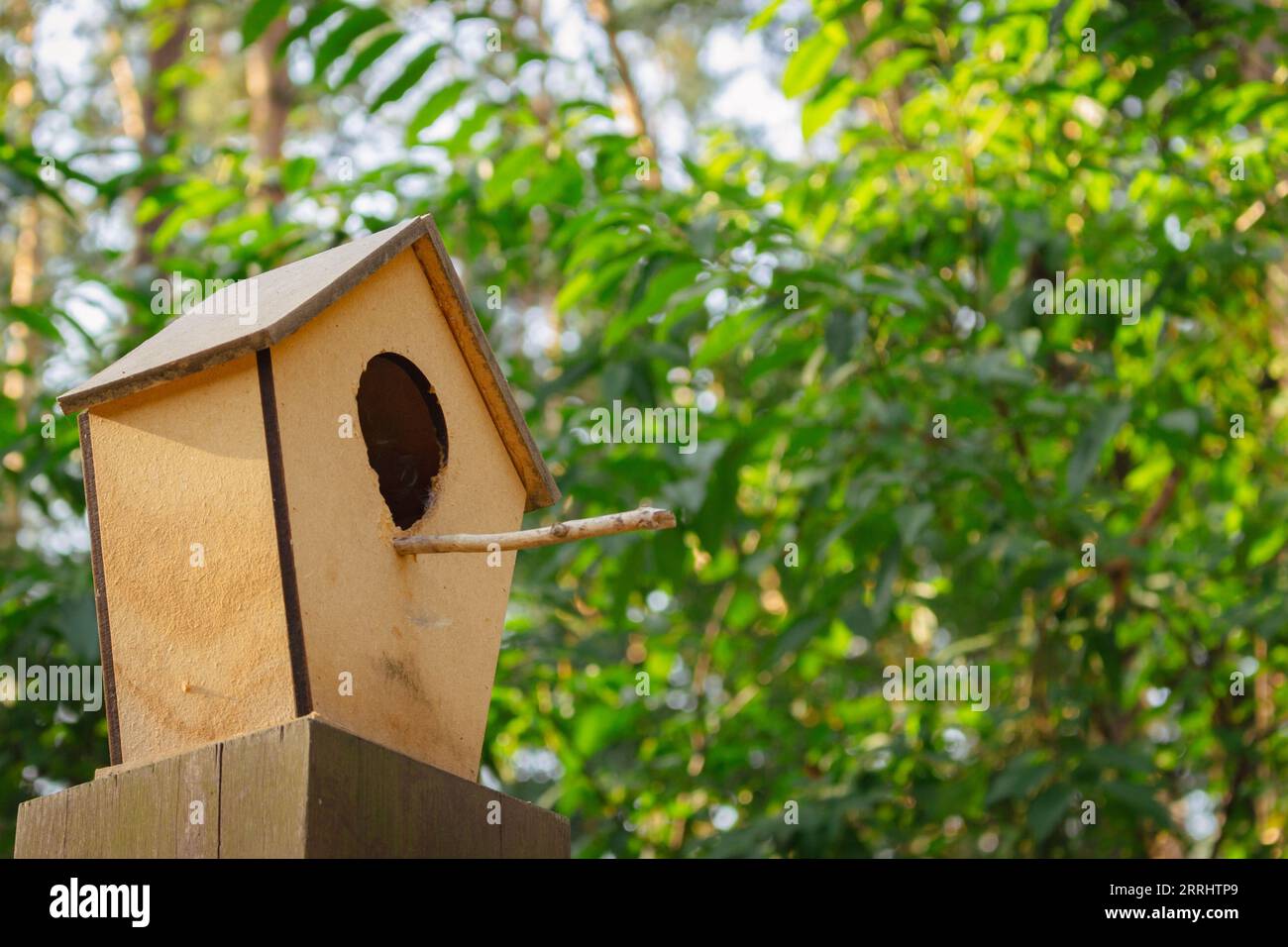 Casa degli uccelli su un albero. Alimentatore di legno nella foresta. Protezione della fauna selvatica. Paesaggio forestale. Appendere la casa degli uccelli nel bosco. Concetto Wild Birds. Foto Stock