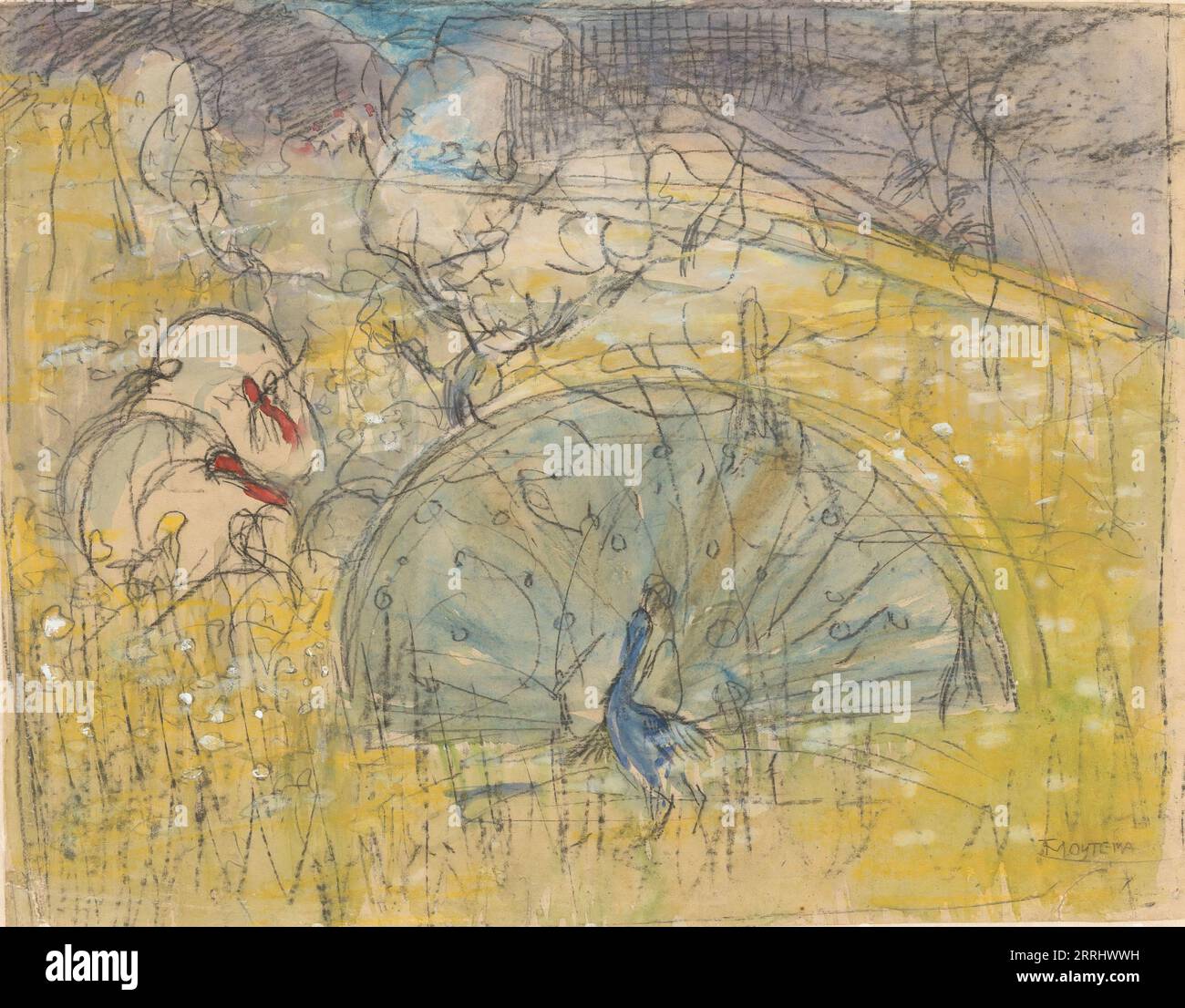 Mostra pavone e due tacchini, 1873-1917. Foto Stock