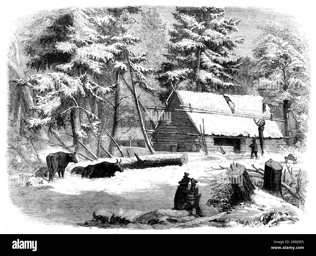 Lumbering in New Brunswick - Lumberman's Camp-House, [Canada], 1858. "L'attività di legname è l'elemento principale della ricchezza della provincia; e le segherie, che si trovano raccolte alle foci di tutti i suoi fiumi, nonché la costruzione di navi, e il business dei trasporti verso la madrepatria, dare lavoro a una gran parte della popolazione... essendo stato selezionato il sito per le operazioni, viene eretto un campeggio e coperto con la corteccia di alberi. Il pavimento della cabina è costituito da piccoli pali, e una sorta di piattaforma è sollevata per il letto generale, che è composto Foto Stock