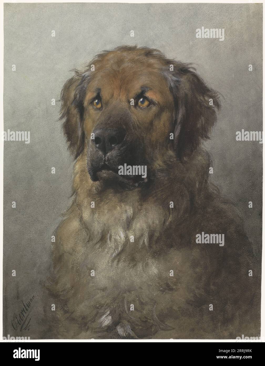Capo di un Leonberger, c.1880-c.1892. L'artista di Groningen otto Eerelman trovò il suo più grande successo con i suoi ritratti di cani. Nel suo studio sull'Elandstraat a l'Aia, insegnò ai suoi modelli a "sedersi", prima di dipingerli. Questo Leonberger senza dubbio "sedette" anche al pittore. Il caratteristico muso sporgente di questa razza e la natura dolce e fedele sono qui resi con grande fedeltà. Foto Stock
