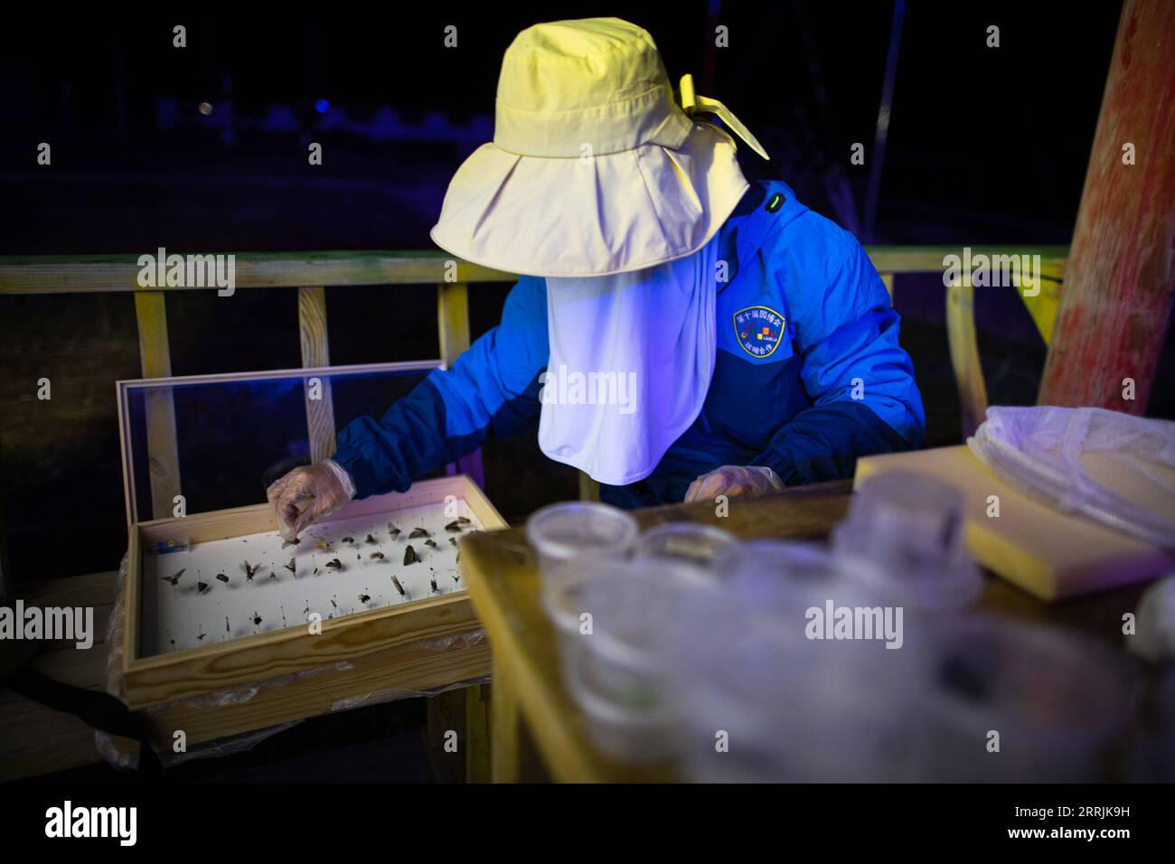 220727 -- YUSHU, 27 luglio 2022 -- fan Yadong, membro di una spedizione scientifica, produce esemplari di insetti nella provincia del Qinghai della Cina nord-occidentale, 24 luglio 2022. Gli scienziati cinesi hanno lanciato una spedizione domenica nelle regioni d'acqua dei fiumi Yangtze e Lancang nella provincia del Qinghai della Cina nord-occidentale, per indagare sulle risorse idriche delle regioni e sull'ambiente ecologico. Zhang Guoyue e fan Yadong sono due membri femminili della squadra di spedizione scientifica. Per adempiere ai loro doveri di cacciatori di insetti per il bene dell'indagine sulla biodiversità, Zhang e fan devono lavorare giorno e notte nel Foto Stock
