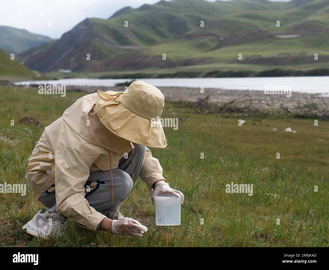 220727 -- YUSHU, 27 luglio 2022 -- fan Yadong, membro di una spedizione scientifica, raccoglie campioni di insetti da una sorgente del fiume Yangtze nella provincia del Qinghai della Cina nord-occidentale, 26 luglio 2022. Gli scienziati cinesi hanno lanciato una spedizione domenica nelle regioni d'acqua dei fiumi Yangtze e Lancang nella provincia del Qinghai della Cina nord-occidentale, per indagare sulle risorse idriche delle regioni e sull'ambiente ecologico. Zhang Guoyue e fan Yadong sono due membri femminili della squadra di spedizione scientifica. Per adempiere ai loro doveri di cacciatori di insetti per il bene dell'indagine sulla biodiversità, Zhang e fa Foto Stock