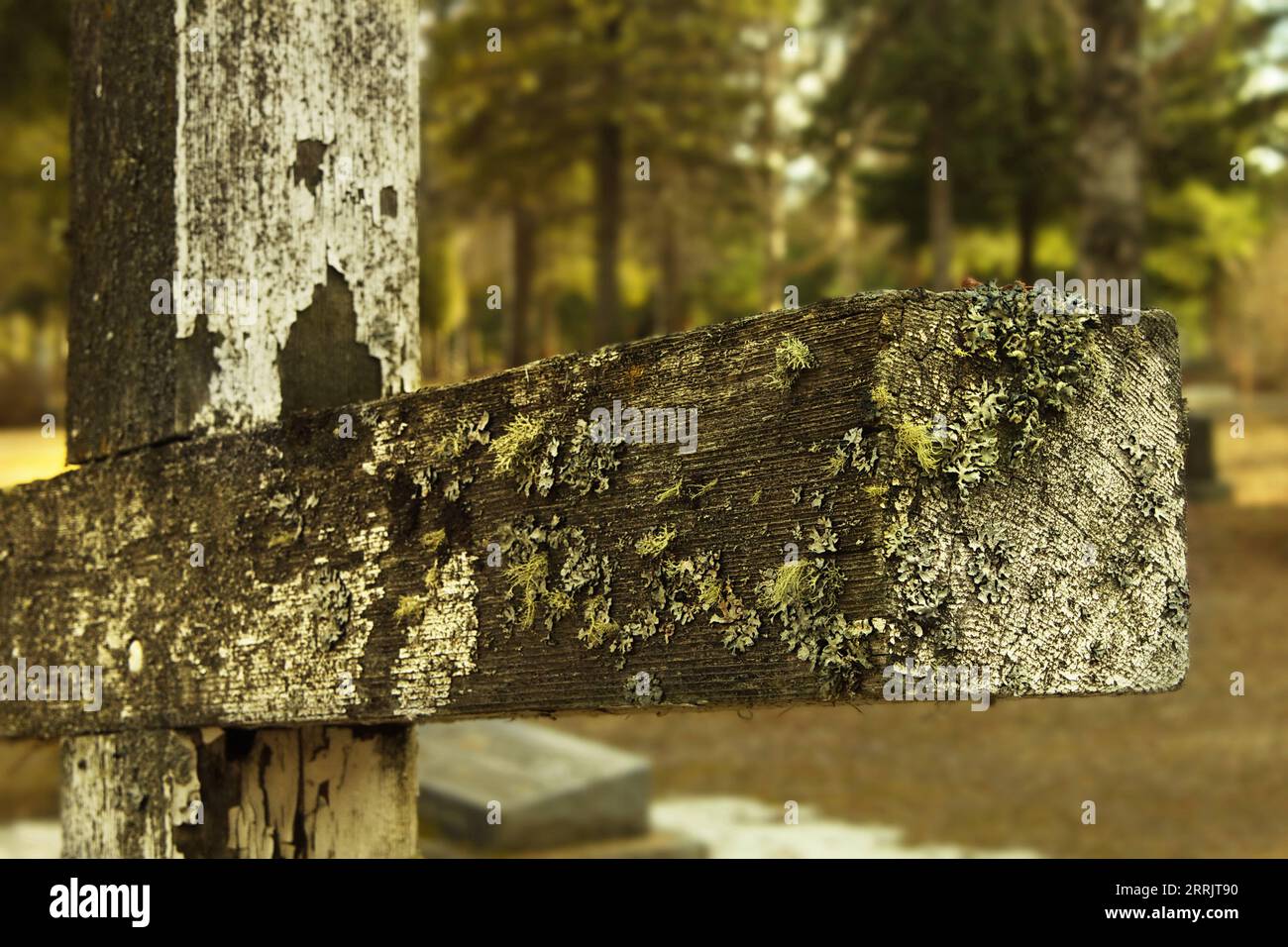 Mi piace questa croce che ho trovato al cimitero. Non aveva segni su di esso tranne quello del passare del tempo. Foto Stock