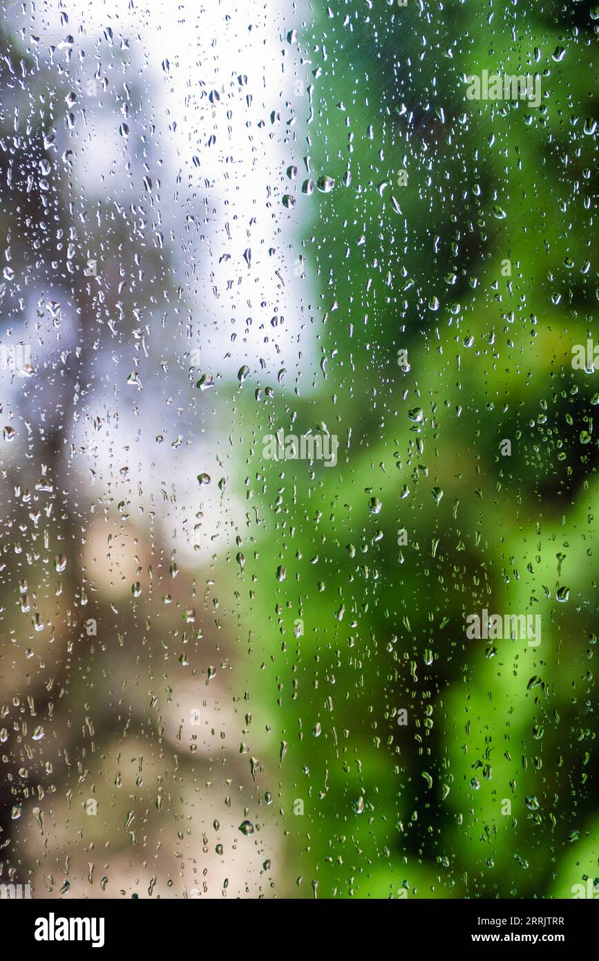 Gocce d'acqua sul vetro della finestra con sfondo sfocato del giardino Foto Stock