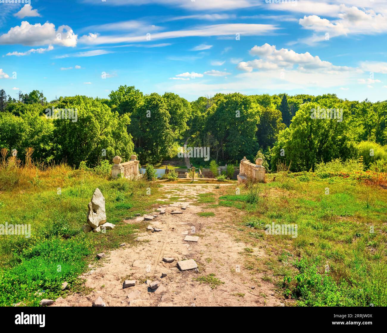 Strada di campagna in campo in giornata di sole Foto Stock