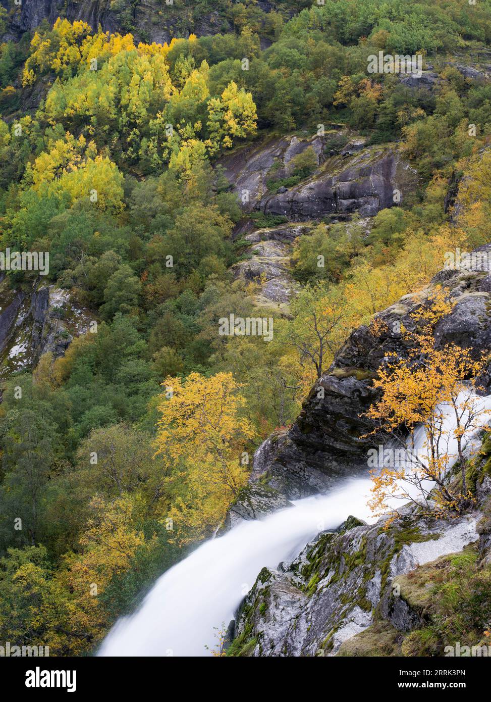 Autunno a Briksdal, cascata, Norvegia Foto Stock