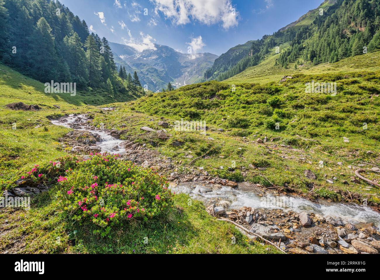 Austria, Tirolo, terra di Innsbruck, idilliaco paesaggio alpino nella valle dello Schmirn con il torrente Kasern e i pascoli d'alta quota Foto Stock