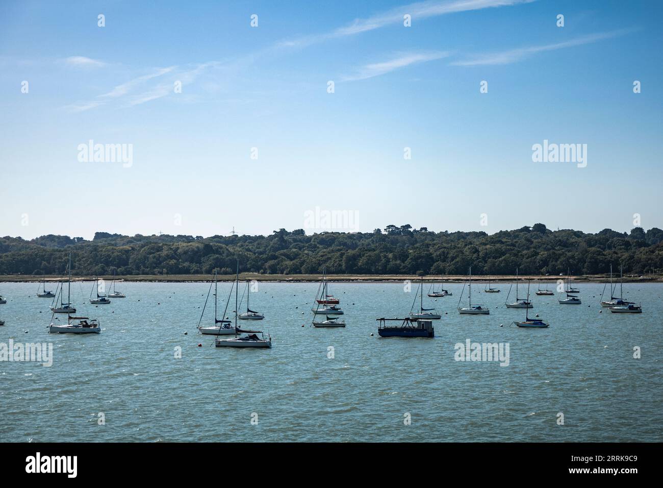 spiaggia, sull'isola di white, affacciata sull'acqua Foto Stock