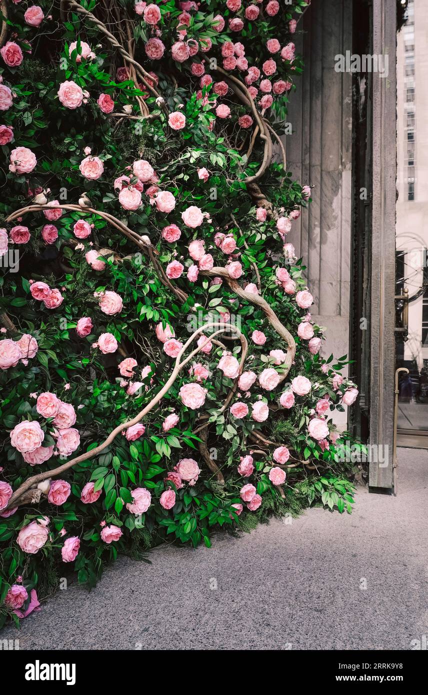 Facciata, decorazione, rose rosa, New York City, Manhattan, USA, America, Foto Stock