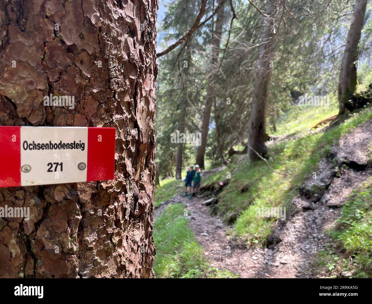 Cartello Ochsenbodensteig, 2 ragazzi sulla strada per Dammkarhütte, Dammkar, Ochsenboden, primavera, Karwendelgebirge, sole, montagne, natura, attività, Isartal, Mittenwald, Alpenwelt Karwendel, Werdenfelser Land, alta Baviera, Germania Foto Stock