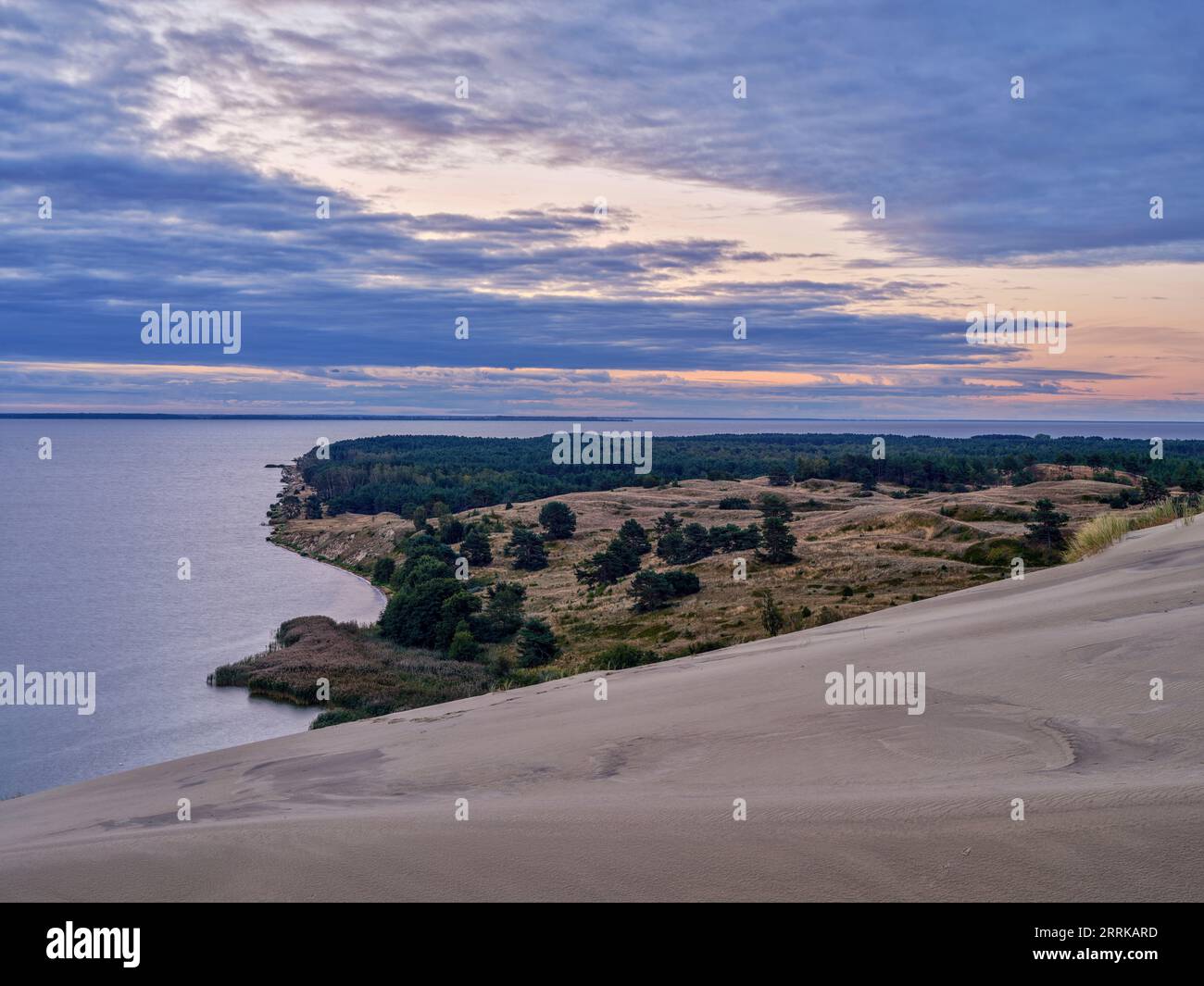 Negyvosios kopos, sulla grande duna vicino a Juodkrante sulla sputa curoniana, Lituania, Foto Stock