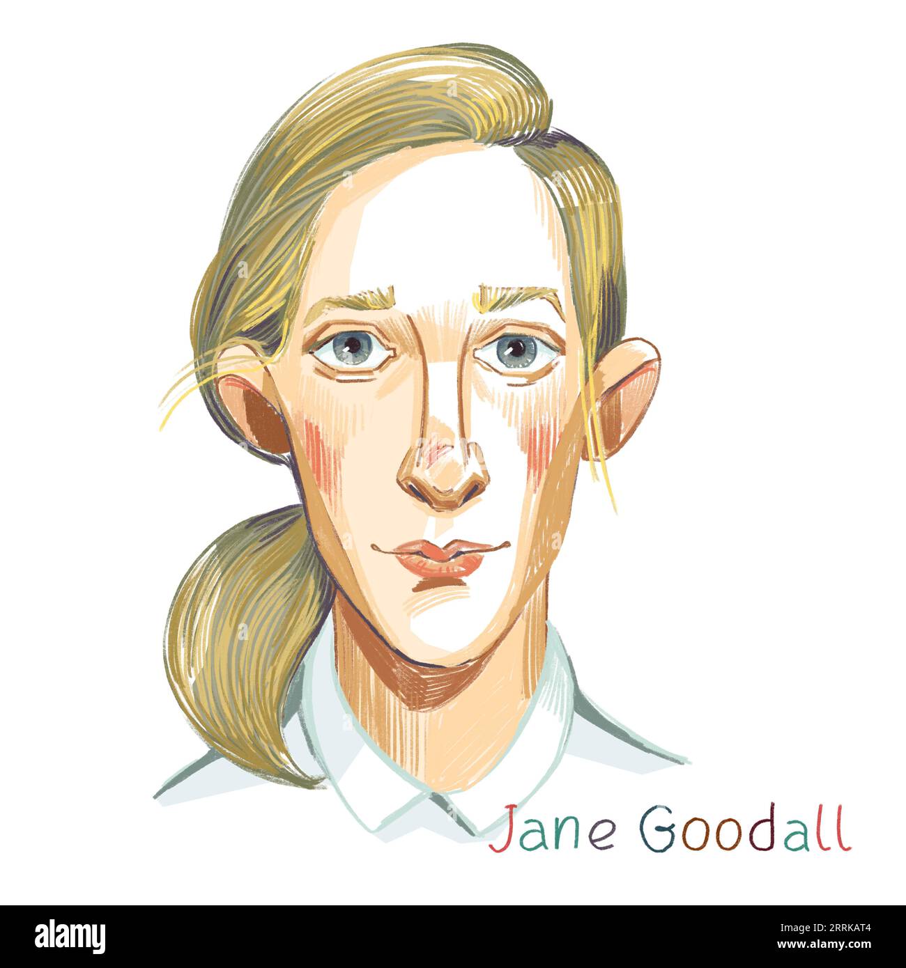 Jane Goodall matita colorata ritratto tratteggiato su sfondo bianco. Primatologo e antropologo inglese Foto Stock