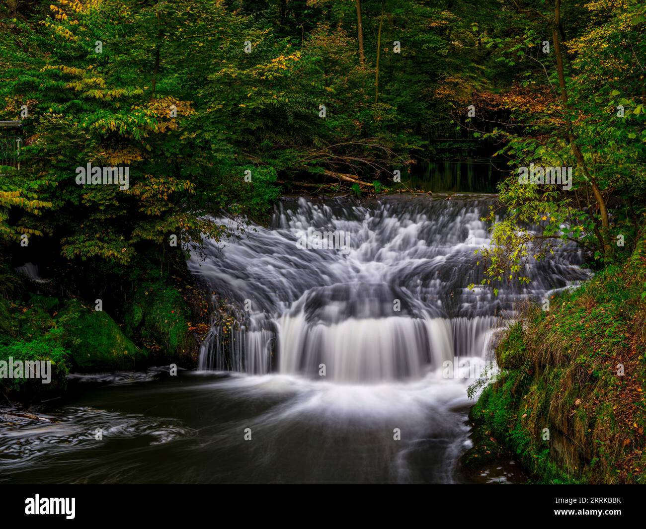 Sul fiume Wesnitz a Liebethaler Grund, Lohmen, Foto Stock