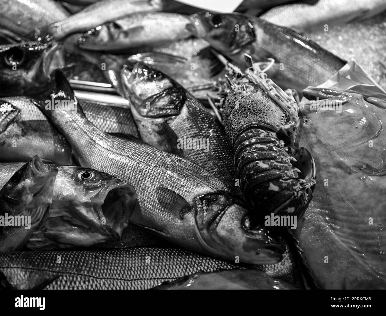 Pesce al mercato del pesce vicino a Rialto, Venezia, Foto Stock