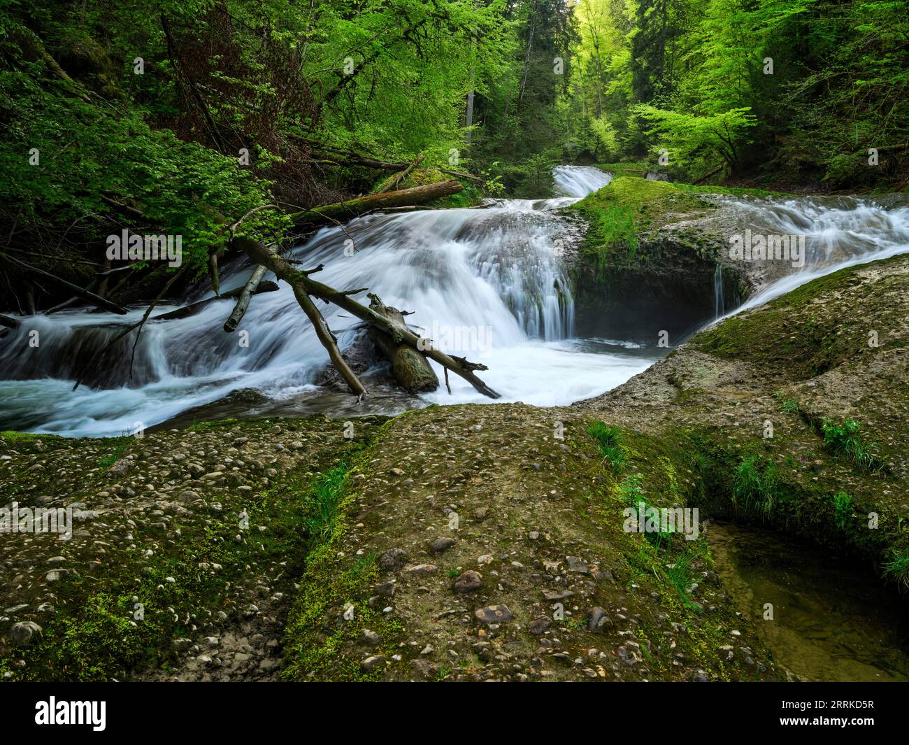 Geotopo, riserva naturale, NSG, FFH, zona FFH, natura, fiume, acqua, riva del fiume, cascata, era glaciale, burrone, canyon, gola, foresta di montagna, montagna, Alpi, Allgäu, paesaggio fluviale, paesaggio montano Foto Stock