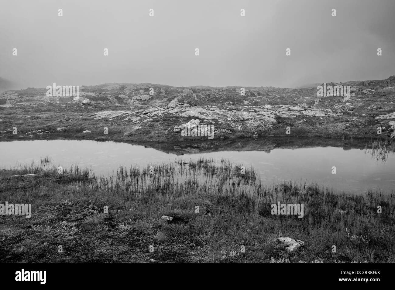 Un tarn riflette la neve residua dell'estate nel Parco Nazionale di Folgefonna, Vestland, Norvegia. Foto Stock