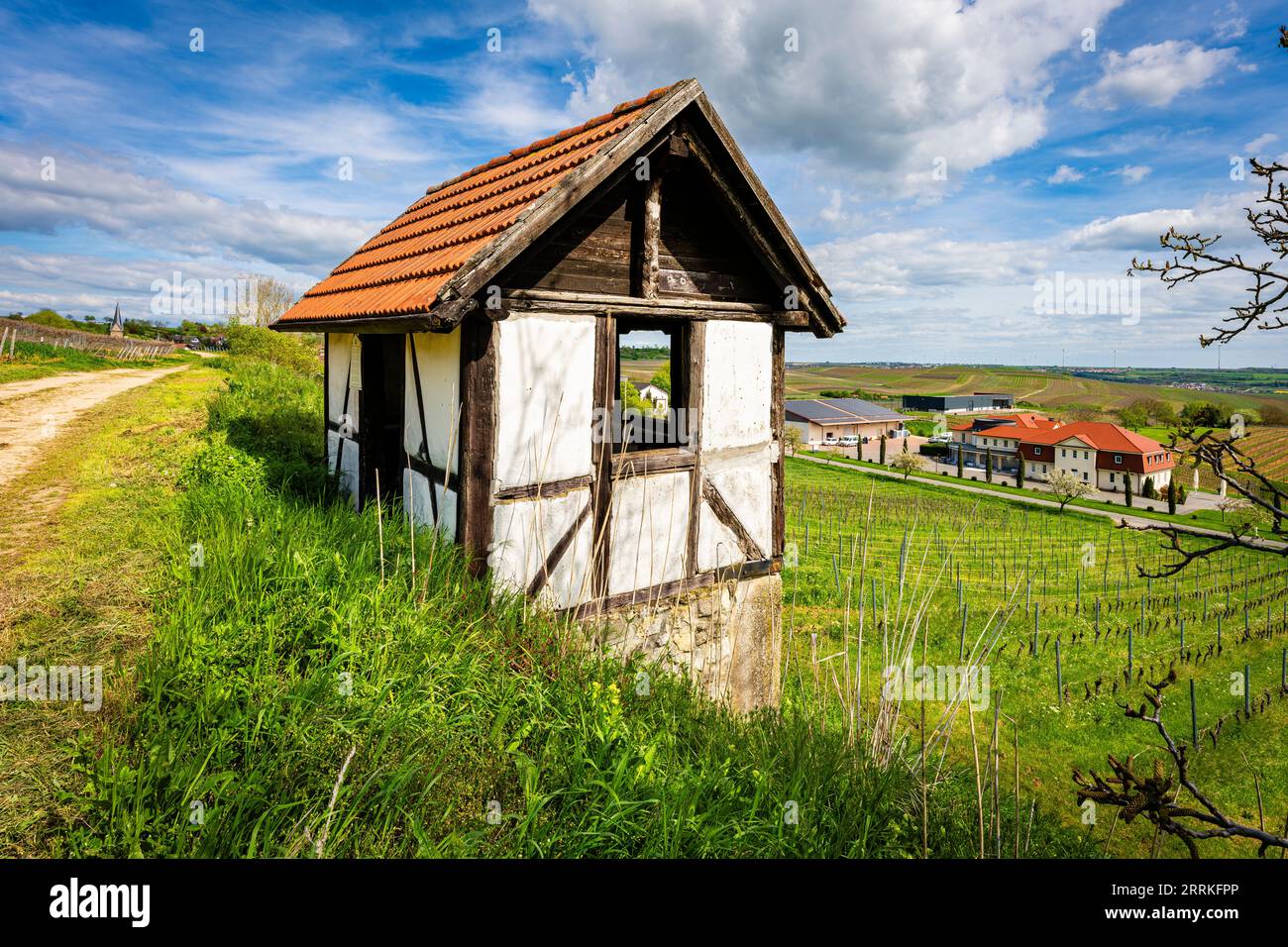 Cottage di vigneti vicino a Vendersheim nel Rheinhessen, una piccola casa a graticcio come protezione contro le intemperie e rifugio per i viticoltori, la via Rheinhessen Il percorso di pellegrinaggio di James corre qui Foto Stock