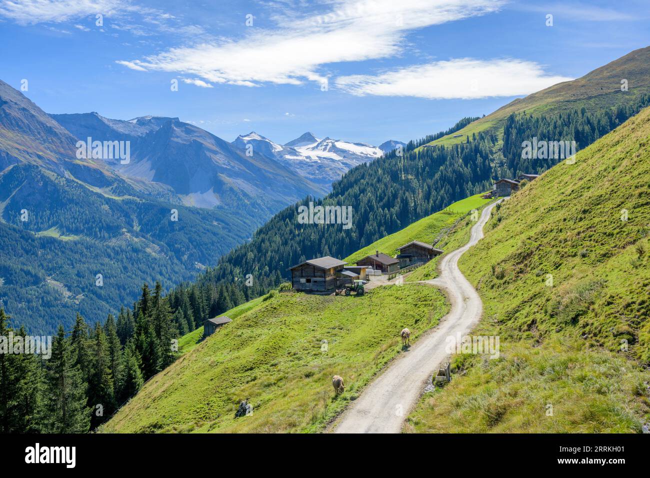 Austria, Tirolo, Zillertal, vista sotto Eggalm fino al ghiacciaio Hintertux. Foto Stock