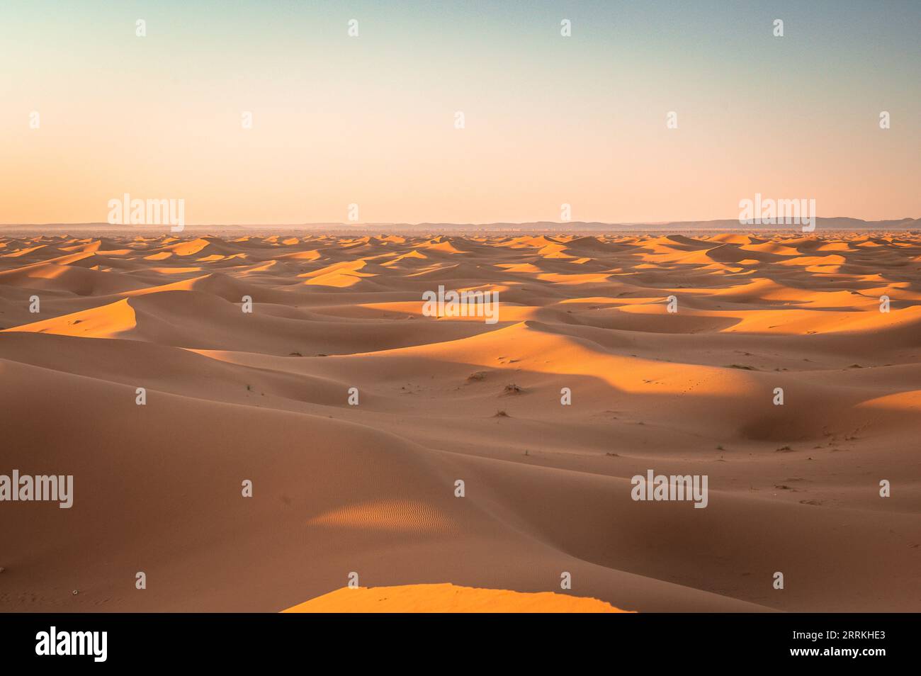 Marocco, Marocco meridionale, Chegagga, Sahara, deserto, alba, sabbia, dune, dune di sabbia Foto Stock