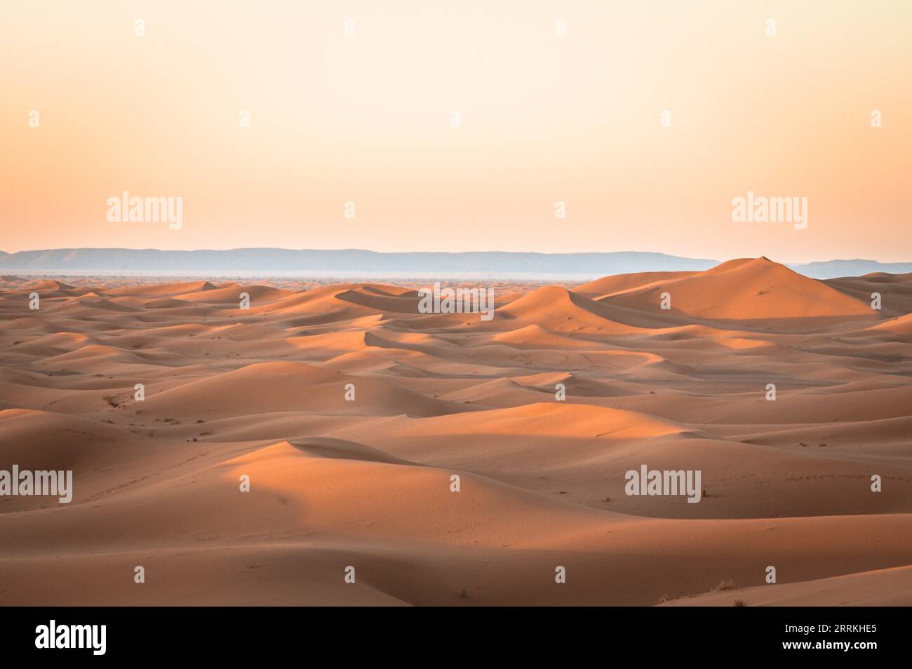 Marocco, Marocco meridionale, Chegagga, Sahara, deserto, alba, sabbia, dune, dune di sabbia Foto Stock