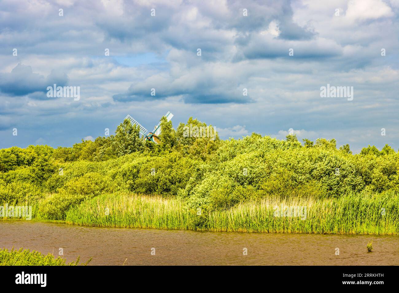Le ali del mulino a vento Hengstforder sbirciano appena sopra gli alberi e i cespugli della vegetazione ripariale, del cielo, delle nuvole di tempesta Foto Stock