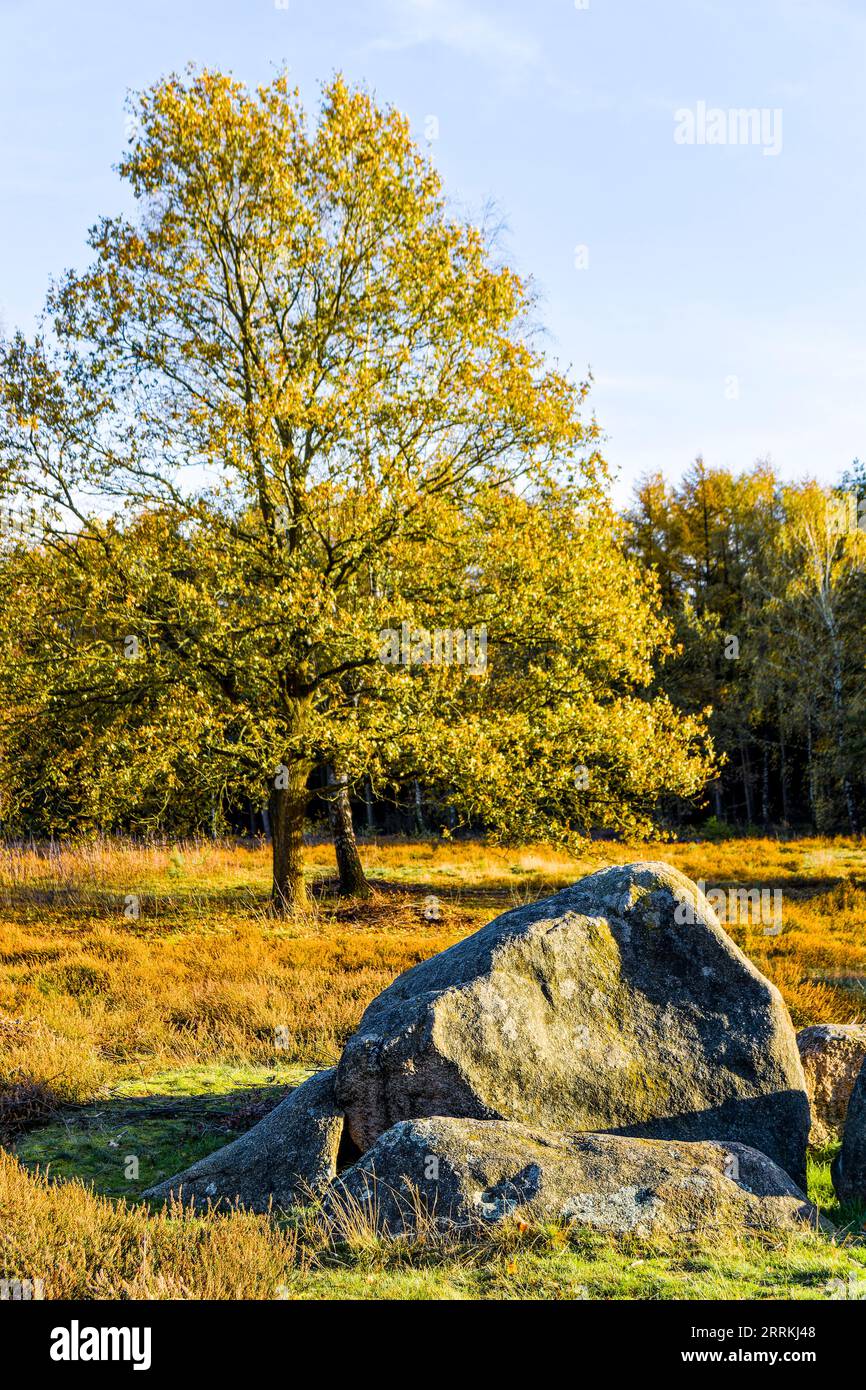 Ambientazione in pietra "Glaner Braut" dall'età della pietra vicino a Doetlingen Foto Stock