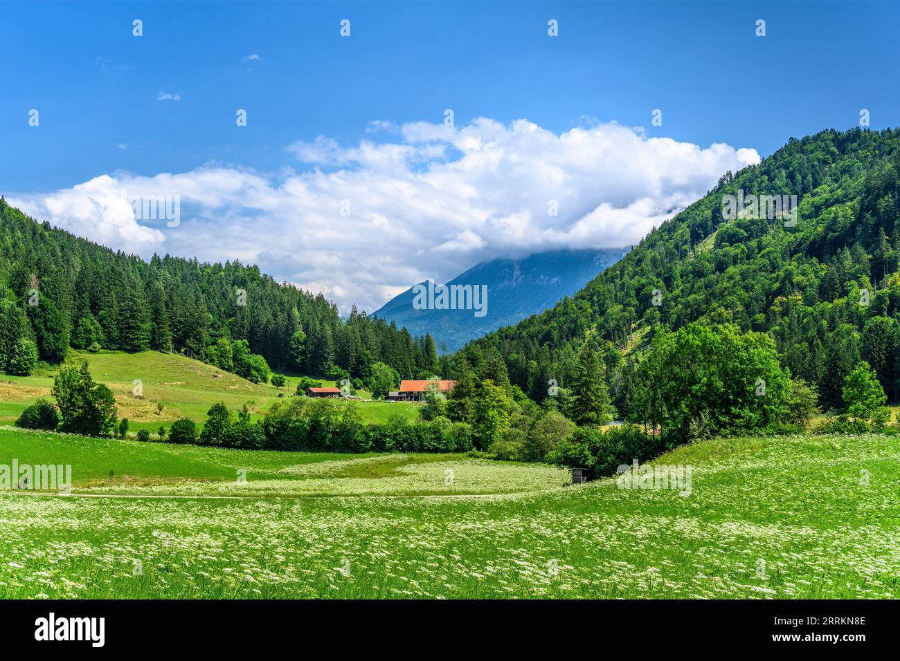 Germania, Baviera, contea di Rosenheim, Kiefersfelden, distretto di Mühlau, alta valle Mühlau contro Kaisergebirge e Nußlberg Foto Stock