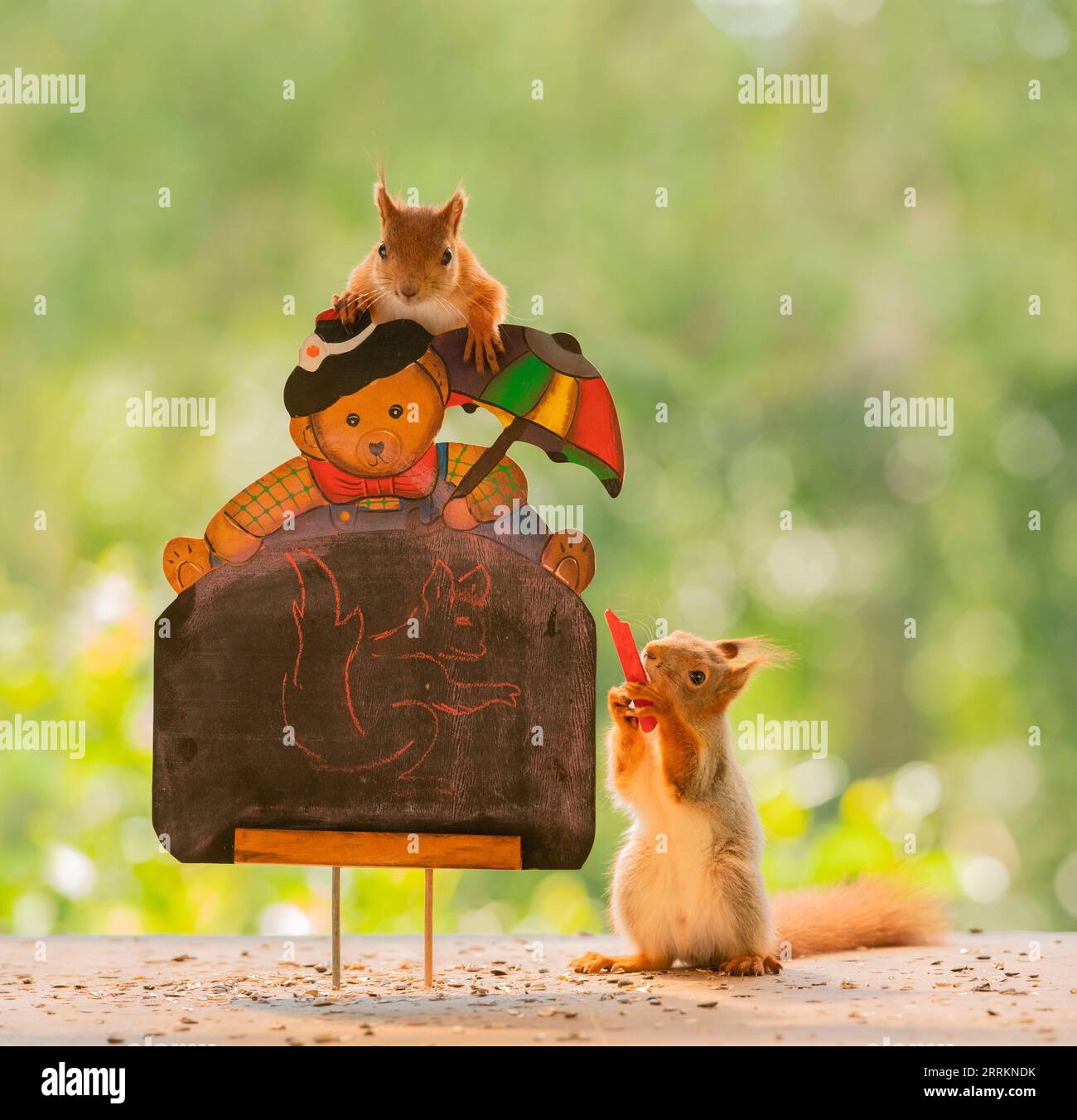 I Red Squirrels sono in piedi con un cavalletto e una matita Foto Stock