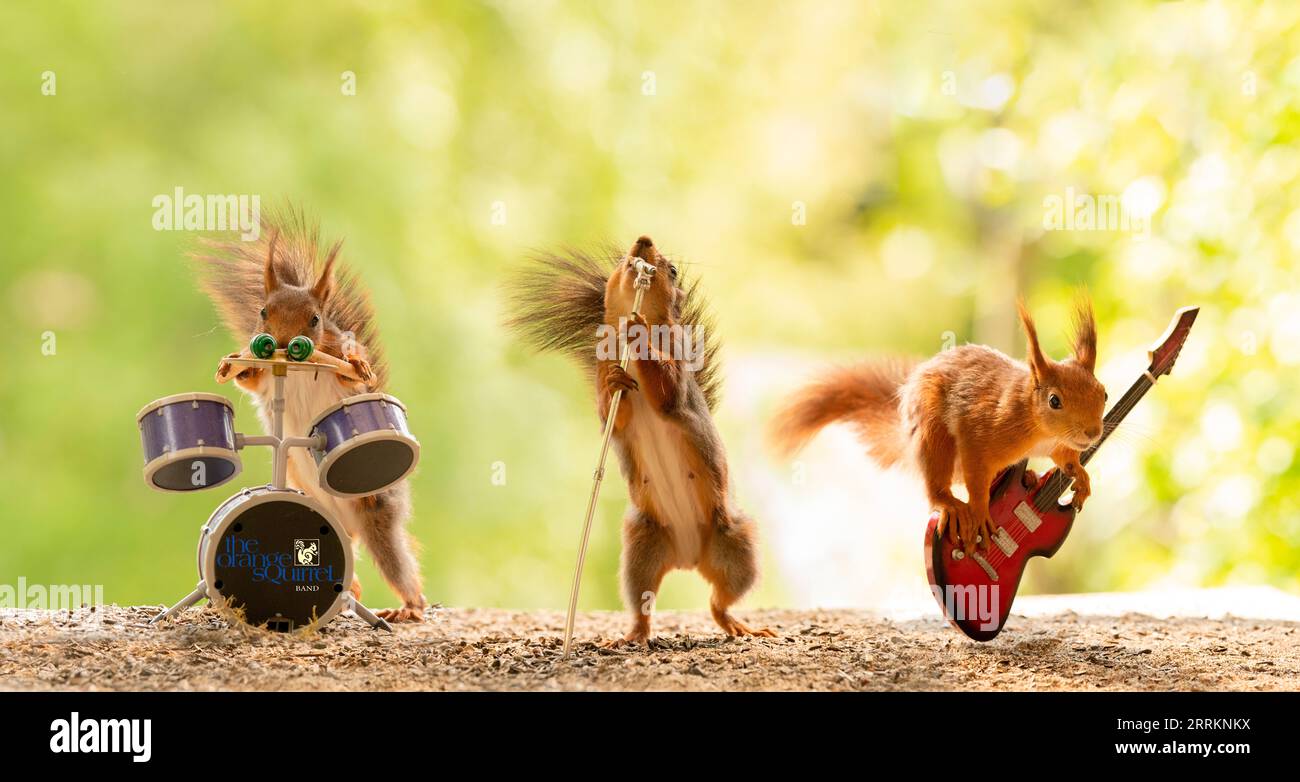 Set Microfoni Per Batteria Depusheng - 7 Pezzi (5 Dinamici + 2 A Condensatore) Per Registrazione - Foto 4